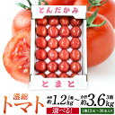 【ふるさと納税】若松濃縮トマト <選べる> 約1.2kg または 約2.4kg または 約3.6kg 1箱15玉〜30玉入り 福岡県北九州市若松区産 トマト 野...