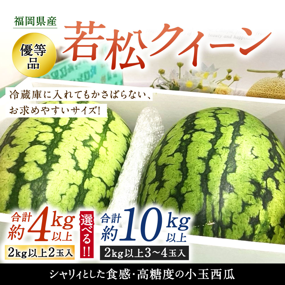 【ふるさと納税】【2024年7月中旬より順次発送】福岡県北九州市若松産【優等品】若松クイーン スイカ ＜選べる＞約4kg以上(約2kg以上 2玉入り) または 10kg以上(2kg以上3玉入り～4玉入り) すいか 野菜 くだもの 旬 季節 新鮮 夏 高品質 西瓜 予約 国産福岡県 九州 送料無料