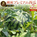 【ふるさと納税】福岡県北九州市若松産 【優等品】 潮風プレミアム西瓜 約7kg(1玉入り) すいか 果物 フルーツ 野菜 くだもの 旬 季節 新鮮 夏 高品質 西瓜 予約 国産 福岡県 九州 【2026年7月下旬~8月上旬発送予定】 楽天スーパーSALE 9月開催