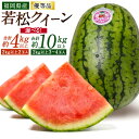 【ふるさと納税】福岡県北九州市若松産【優等品】若松クイーン スイカ <選べる>約4kg以上(約2kg以上 2玉入り) / 約10kg以上(約2kg以上3玉入り~4玉入り) すいか くだもの 旬 新鮮 夏 高品質 西瓜 予約 国産 【2026年7月上旬~8月上旬発送予定】 楽天スーパーSALE 9月開催