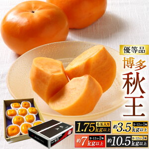 【ふるさと納税】福岡県産 博多秋王【優等品】 柿 〈選べる〉約1.75kg以上 / 約3.5kg以上 / 約7kg以上 / 約10.5kg以上 果物 フルーツ 旬 新鮮 かき オリジナル品種 サクサク くだもの 季節 国産 福岡県 九州 予約 【2025年11月上旬~11月下旬発送予定】