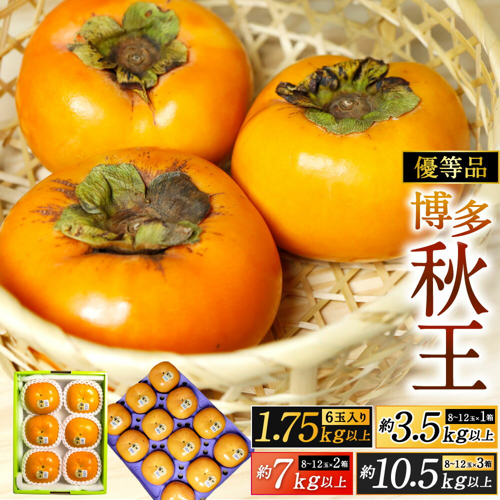 【ふるさと納税】福岡県産 博多秋王【優等品】 柿 〈選べる〉約1.75kg以上 / 約3.5kg以上 / 約7kg以上 / 約10.5kg以上 果物 フルーツ 旬 新鮮 かき オリジナル品種 くだもの 季節 国産 福岡県北九州市 予約 【2026年10下旬より発送予定】