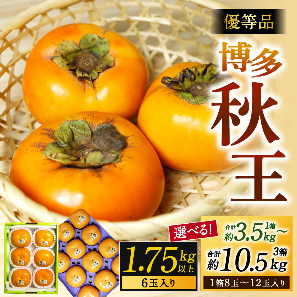【ふるさと納税】福岡県産 博多秋王【優等品】 柿 〈選べる〉約1.75kg以上 / 約3.5kg以上 / 約7kg以上 / 約10.5kg以上 果物 フルーツ 旬 新鮮 かき オリジナル品種 くだもの 季節 国産 福岡県北九州市 予約 【2026年10下旬より発送予定】