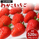 【ふるさと納税】【2024年3月12日まで受付】小倉の苺やさん「わがこいちご」260g×2パック 合計520g以上 福岡県 いちご イチゴ 果物 旬 新鮮 朝摘み 完熟 フルーツ 冷蔵 国産 北九州市産 送料無料 ※北海道・沖縄・離島への発送不可