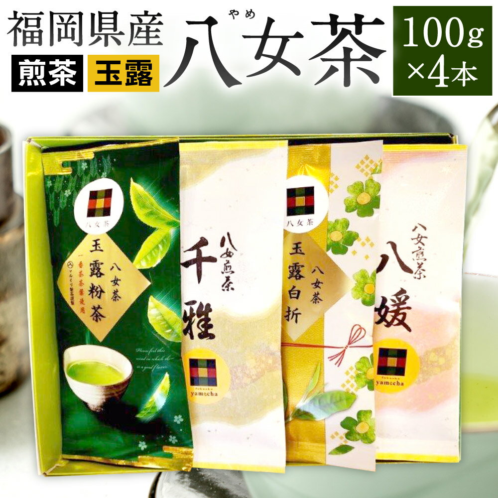 福岡県産 八女茶 4種 100g×4本 セット 八女 煎茶 八媛/千雅/粉茶/白折 飲み比べ お茶 緑茶 日本茶 茶葉 お茶っ葉 乾燥 詰合せ 国産 福岡県 送料無料