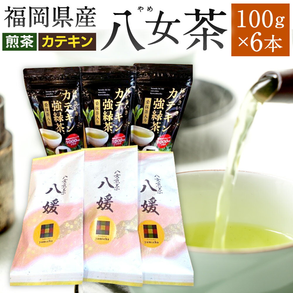 18位! 口コミ数「0件」評価「0」福岡県産 八女茶 2種 100g×6本セット 八女 煎茶 八媛 カテキン強力茶 飲み比べ お茶 緑茶 日本茶 茶葉 お茶っ葉 緑茶ポリフェノ･･･ 