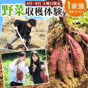 【ふるさと納税】北九州市 野菜収穫体験 1家族(目安：2～4人) 【収穫可能期間 4月～8月 】 野菜 夏野菜 （玉ねぎ じゃがいも ピーマン なすび 紫蘇 等） 農家 農業体験 休日 体験 畑 収穫 チケット 夏休み アウトドア 親子 家族 松浦ファーム 福岡県 九州【土曜日限定】 1