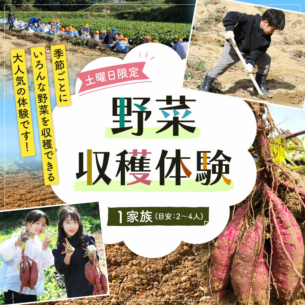 【ふるさと納税】北九州市 野菜収穫体験 1家族(目安：2～4人) 【収穫可能期間 4月～8月 】 野菜 夏野菜 （玉ねぎ じゃがいも ピーマン なすび 紫蘇 等） 農家 農業体験 休日 体験 畑 収穫 チケット 夏休み アウトドア 親子 家族 松浦ファーム 福岡県 九州【土曜日限定】