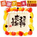 【ふるさと納税】【指定日必須】感謝ケーキ 〈選べるサイズ〉 5号(15cm×15cm) / 6号(18cm×18cm) 生クリーム いちご ピーチ パイン オレ...
