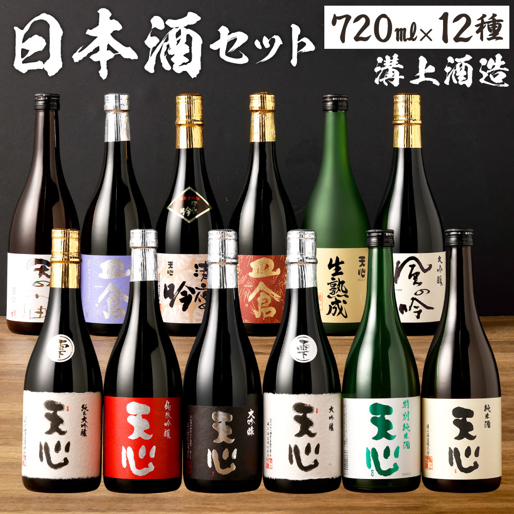 溝上酒造 日本酒セット[4]（720ml×12本）12種類 伸び比べ 日本酒 アルコール お酒 地酒 天心 皿倉 清夜の吟 風の吟 天の宙 生熟成 特別限定 純米大吟醸 吟醸酒 純米吟醸 伏流水 宅飲み 晩酌 冷蔵 国産 福岡県 北九州市 送料無料