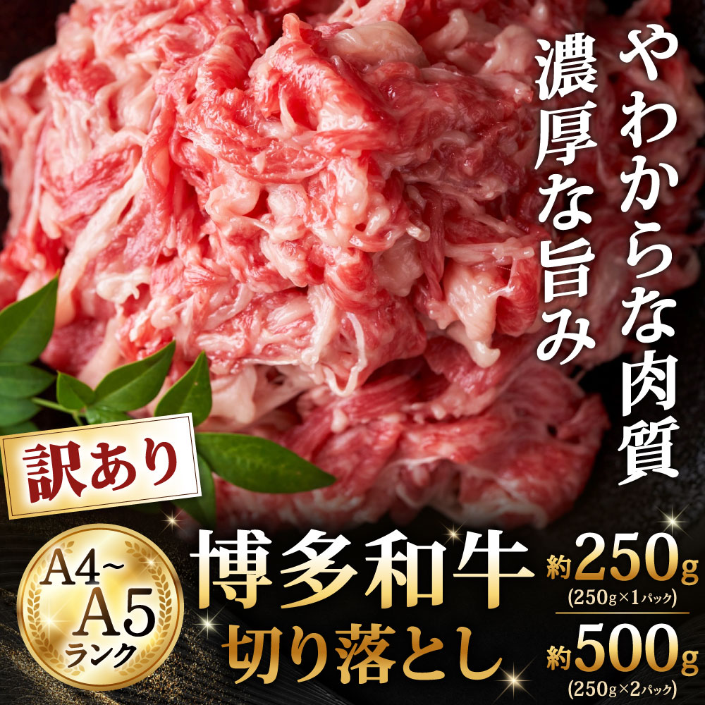 【ふるさと納税】【訳あり】【A4～A5ランク】博多和牛 切り落とし 選べる 約250g×1パック / 約250g×2パック 国産牛 牛肉 和牛 お肉 牛切落し 普段使い 便利 お料理 冷凍 国産 福岡県北九州市