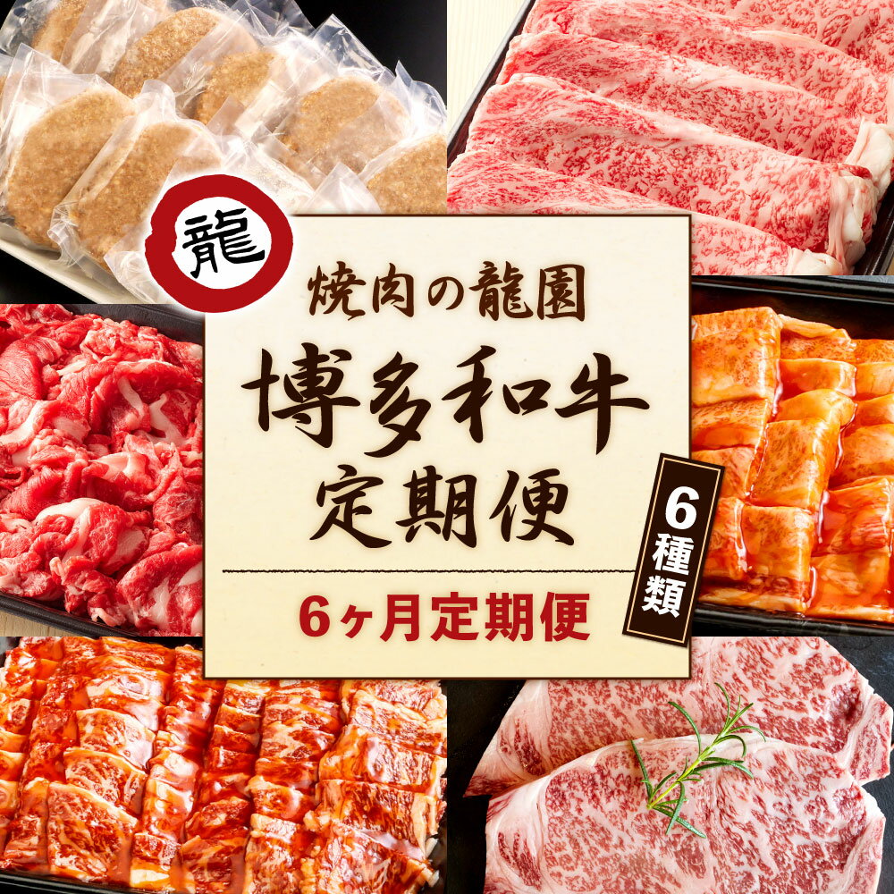 【ふるさと納税】【6ヶ月定期便】焼肉の龍園 博多和牛 定期便 6か月 6種類 ハンバーグ10個 切り落とし800g 味付け焼肉セット1kg リブロースすき焼き300g カルビたれ漬け650g サーロインステーキ360g 食べ比べ 食べくらべ お肉 国産牛 黒毛和牛 冷凍 福岡県 九州 送料無料