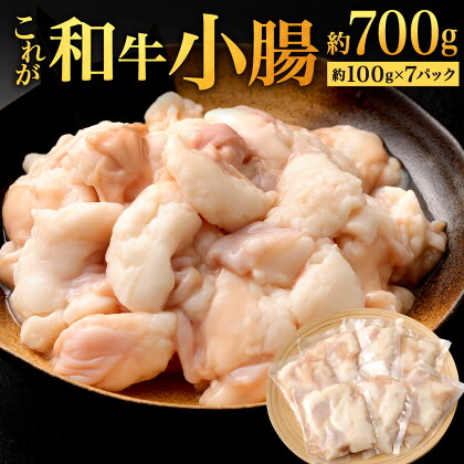 これが和牛小腸 合計約700g ( 約100g×7パック ) お肉 牛肉 ホルモン 国産牛 もつ鍋 ホルモン鍋 焼肉 焼き肉 真空パック 急速冷凍 冷凍 福岡県 九州