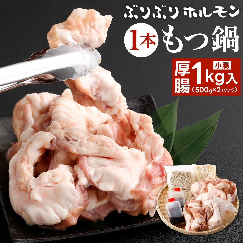 【ふるさと納税】ぶりぶりホルモン 1本もつ鍋 厚腸編 1kg入り(500g×2パック) ホルモン 小腸 もつ鍋スープ うどん麺 ちゃんぽん麺 お肉 黒毛和牛 ホルモン鍋 1本ホルモン 真空パック セット 詰合せ 国産牛 冷凍 送料無料