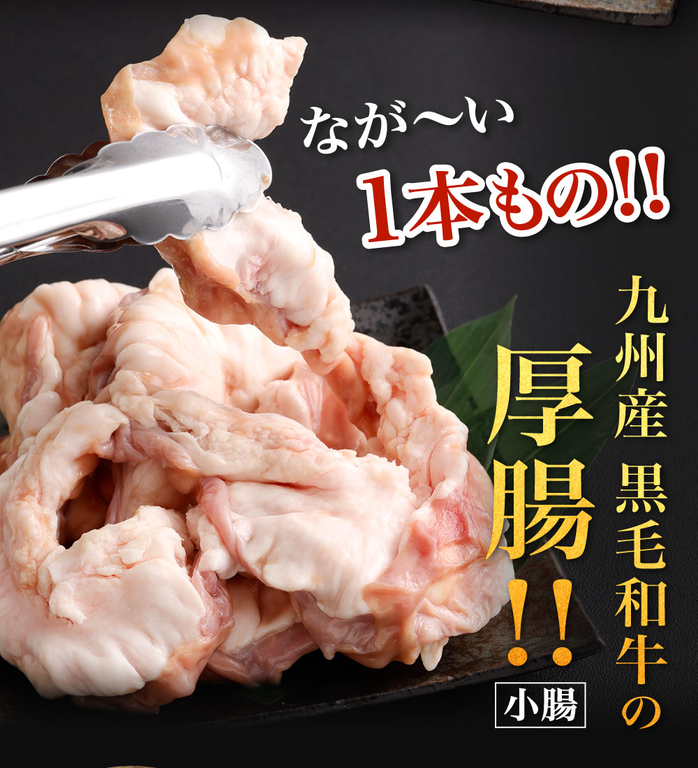 【ふるさと納税】ぶりぶりホルモン 1本もつ鍋 厚腸編 1kg入り(500g×2パック) ホルモン 小腸 もつ鍋スープ うどん麺 ちゃんぽん麺 お肉 黒毛和牛 ホルモン鍋 1本ホルモン 真空パック セット 詰合せ 国産牛 冷凍 送料無料 f401005-kitakyushu-10001762 福岡県北九州市 サンプル画像3