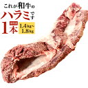 【ふるさと納税】〈冷蔵〉幻のハラミ これが和牛のハラミ(横隔膜)です 1本 (1.4kg〜1.8kg) 牛ハラミ 牛肉 お肉 ハラミ まるごと 一本 和牛 新鮮...