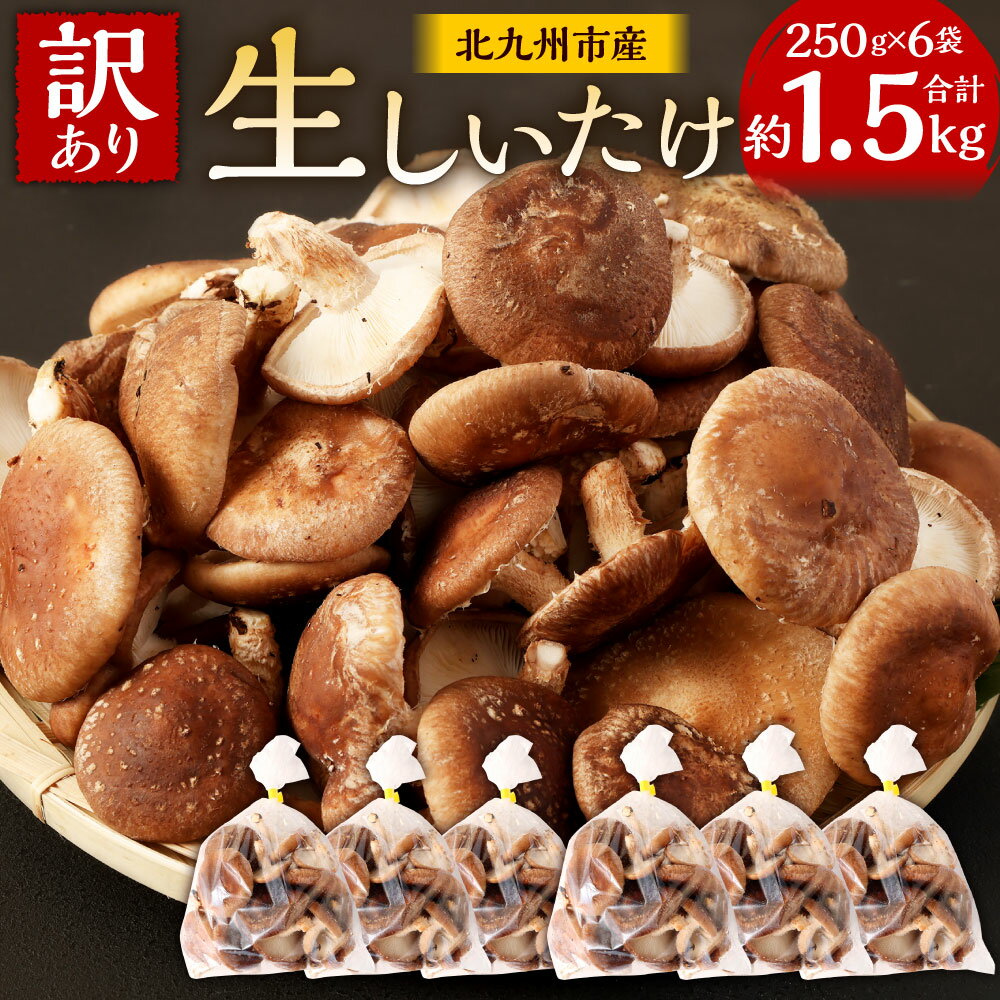 【ふるさと納税】【訳あり】北九州市産 生しいたけ「食品ロスをなくそうSDGs応援セット」 250g×6袋 合計約1.5kg 椎茸 きのこ 新鮮 冷蔵 国産 福岡県 九州 送料無料 形・サイズ・笠の厚み不揃い