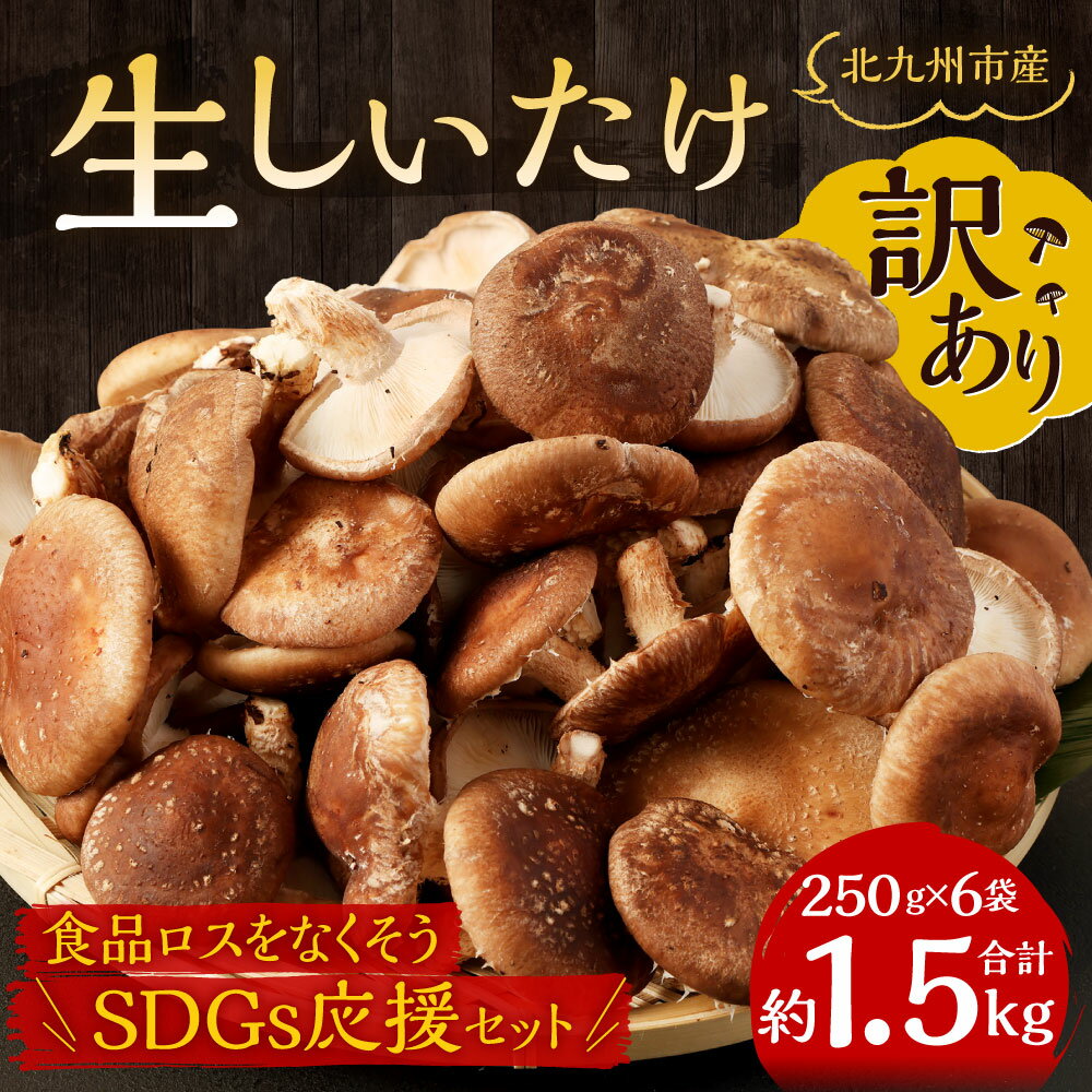 【ふるさと納税】【訳あり】北九州市産 生しいたけ「食品ロスをなくそうSDGs応援セット」 250g×6袋 合計約1.5kg 椎茸 きのこ 新鮮 冷蔵 国産 福岡県 九州 送料無料 形・サイズ・笠の厚み不揃い