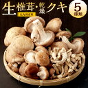 【ふるさと納税】北九州市産 生椎茸・乾燥クキ のセット 5種類 最高級椎茸 小ぶり 肉厚 椎茸芽 クキ付き 椎茸 生椎茸 乾燥クキ椎茸 しいたけ きのこ 新鮮 パック 冷蔵 国産 福岡県 送料無料