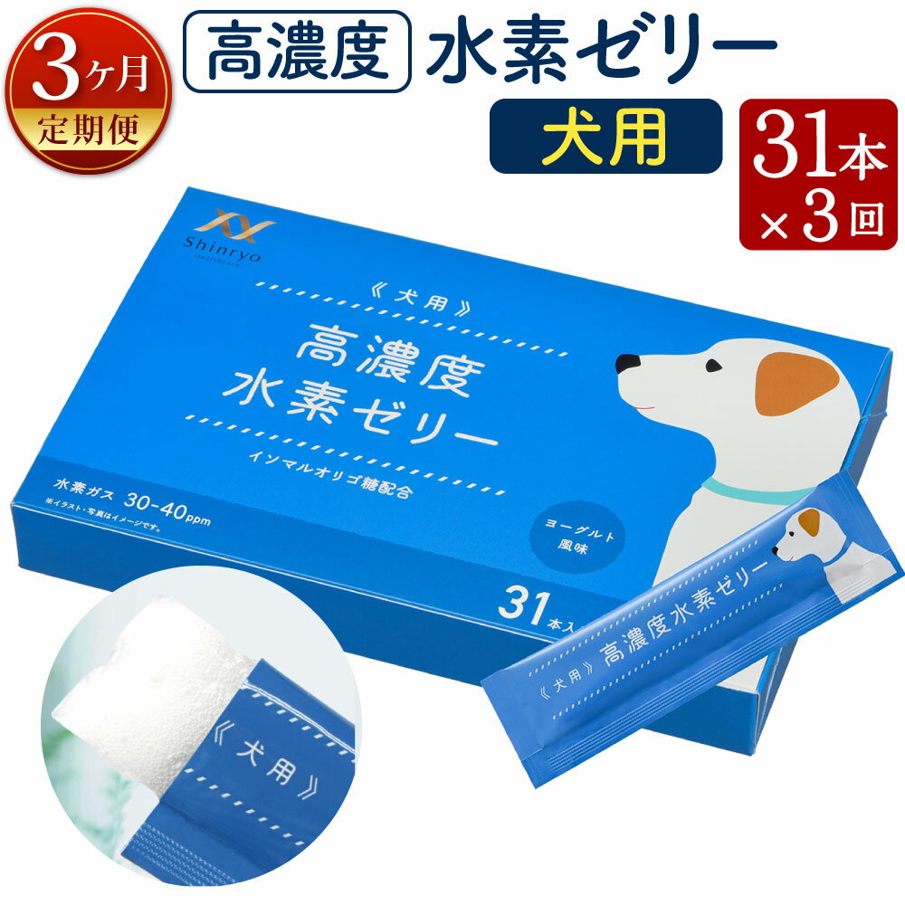 6位! 口コミ数「0件」評価「0」【3ヶ月定期便】高濃度 水素ゼリー 犬用 31本入り×3回 1本5g 水素 愛犬 健康食品 サプリ おやつ ヨーグルト風味 水素補給 犬 愛･･･ 