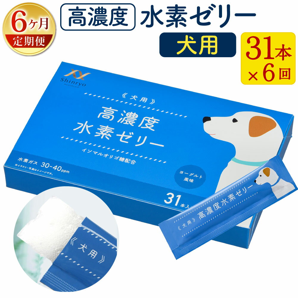 14位! 口コミ数「0件」評価「0」【6ヶ月定期便】高濃度 水素ゼリー 犬用 31本入り×6回 1本5g 水素 愛犬 健康食品 サプリ おやつ ヨーグルト風味 水素補給 犬 愛･･･ 