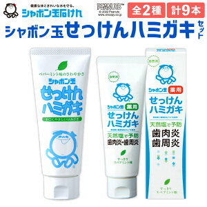 【ふるさと納税】シャボン玉せっけん ハミガキ セット 2種 9個 せっけんハミガキ 薬用 歯磨き 口腔ケア 清潔 無添加 国産 九州 福岡県 送料無料