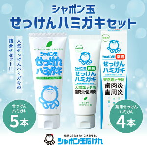 【ふるさと納税】シャボン玉せっけん ハミガキ セット 2種 9個 せっけんハミガキ 薬用 歯磨き 口腔ケア 清潔 無添加 国産 九州 福岡県 送料無料