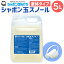 【ふるさと納税】洗濯 洗剤 シャボン玉 スノール 液体タイプ 業務用 5L(大容量用キャップ付き) 洗たく シャボン玉石けん 清潔 全自動洗濯機 ドラム式洗濯機 無添加 送料無料 11,000円
