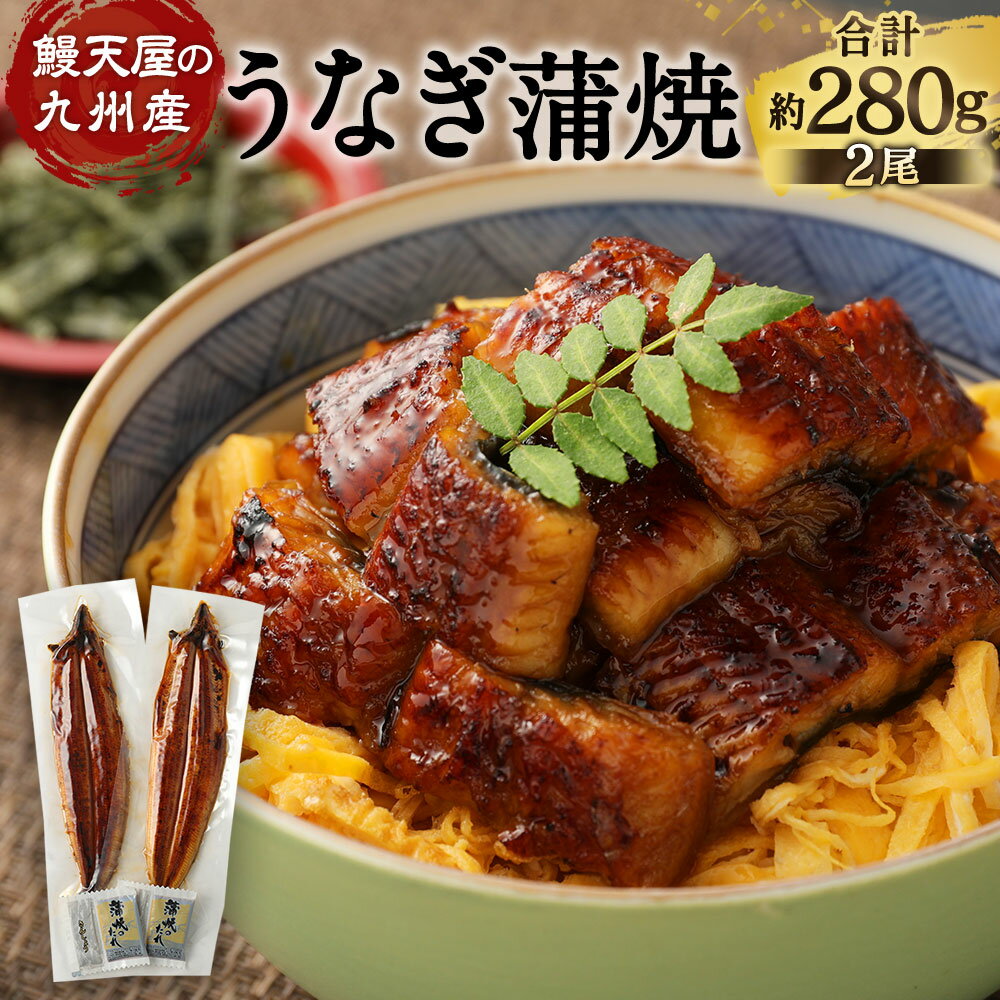 【ふるさと納税】鰻天屋の九州産 うなぎ 蒲焼 約140g×2