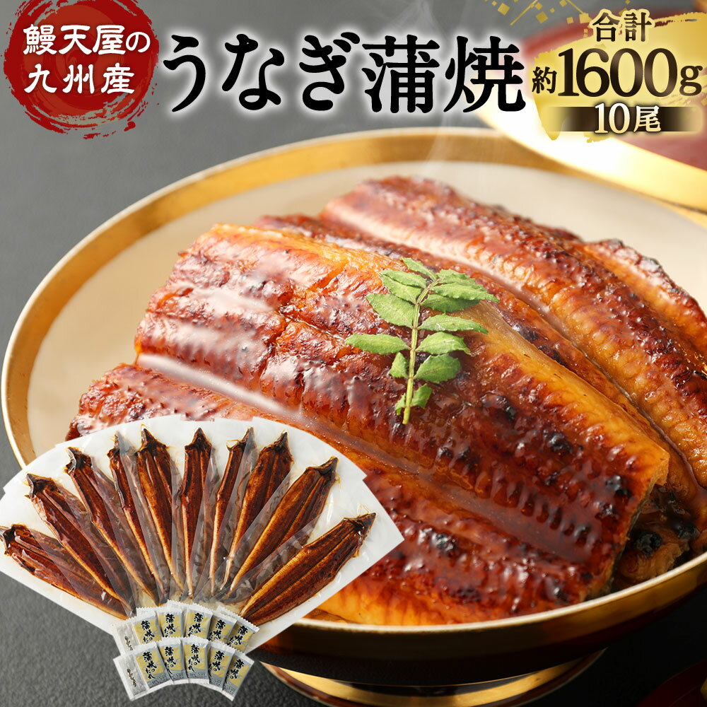 【ふるさと納税】鰻天屋の九州産 うなぎ 蒲焼 10尾 セット