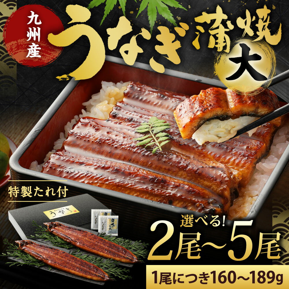 【ふるさと納税】九州産 うなぎ 蒲焼 大(1尾あたり160〜189g) 2尾／3尾／4尾／5尾 特製たれ・山椒付き 鰻 ウナギ 蒲焼き 土用の丑の日 夏 冷凍 国産 送料無料 鹿児島、宮崎、熊本等産うなぎ原料使用