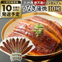 【ふるさと納税】鰻天屋の九州産 うなぎ 蒲焼 10尾 セット(1尾約160〜189g) 合計約1600g以上 特製たれ・山椒付き 鰻 ウナギ 蒲焼き 冷凍 国産...