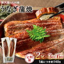 【ふるさと納税】【定期便】鰻天屋の九州産 うなぎ 蒲焼 約140g×2尾 セット 《選べる定期回数》【3ヶ月定期便】【4ヶ月定期便】【5ヶ月定期便】【6ヶ月定期...