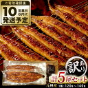 【ふるさと納税】【訳あり】玉に瑕 九州産 手焼き炭火うなぎ蒲焼 5尾 (1尾あたり120-149g) たれ・山椒付き 鰻 蒲焼き 冷凍 国産 送料無料 鹿児島、...