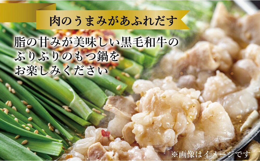 【ふるさと納税】定期便 3回 【福岡市】 黒毛和牛 もつ鍋 白濁 鶏ガラスープ醤油スープ 3～4人前セット