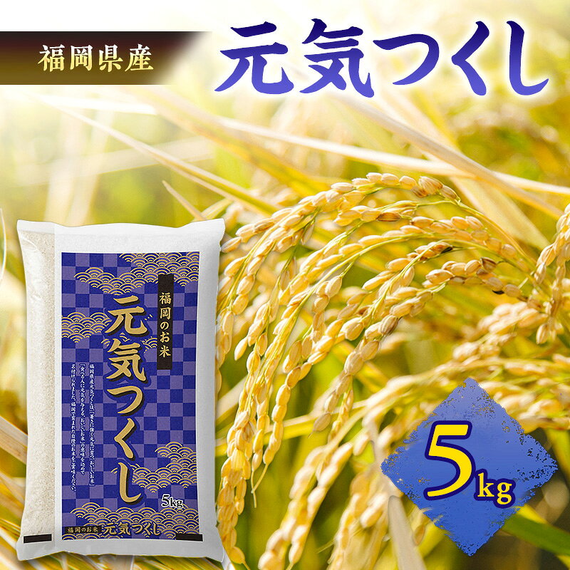 【ふるさと納税】新米 元気つくし 5kg 令和8年産 米 お米　お届け：2026年11月20日～