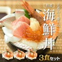 【ふるさと納税】福岡市グルメ糸島海鮮堂の8種の海鮮丼3食セット | 福岡県 福岡市 海鮮丼セット 海鮮丼 お取り寄せグルメ まぐろ マグロ丼 サーモン いくら ホタテ ほたて 帆立 海鮮丼の具 海鮮 セット 詰め合わせ 福岡 お土産 グルメ 九州 海の幸 ご飯のお供 ごはんのおとも