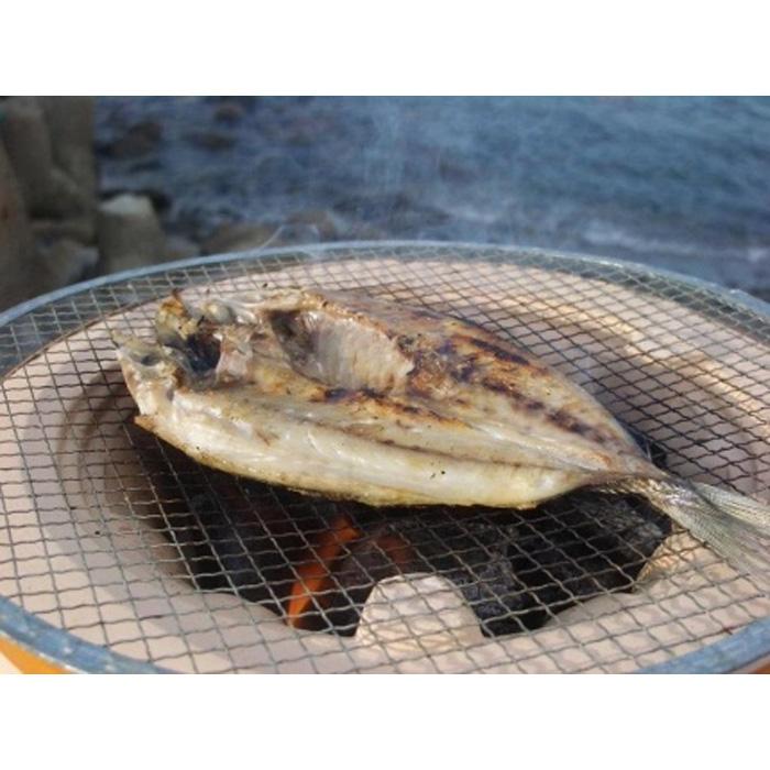 魚介類・水産加工品(アジ)人気ランク29位　口コミ数「0件」評価「0」「【ふるさと納税】振り塩仕立て　真アジ開き10枚セット　★長浜市場で水揚げ★ | 福岡県 福岡市 福岡 九州 返礼品 支援 お取り寄せグルメ 取り寄せ グルメ 食品 お取り寄せ 魚介類 魚介 海産物 海の幸 アジ あじ 鯵 魚 干物 ひもの おつまみ つまみ 酒の肴 緊急支援」