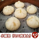 【ふるさと納税】【福岡市】小籠包(ミニ肉まん)40個セット | 福岡県 福岡 九州 返礼品 支援 楽天ふるさと 納税 お取り寄せグルメ 取り寄せ グルメ 食品 ...