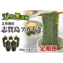 【ふるさと納税】≪全12回≫定期便 天然無添加 玄界灘産 天然アカモク【300g×5本×12ヶ月】<福岡市>