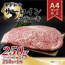 【ふるさと納税】博多和牛サーロインステーキ　250g（250g×1枚）