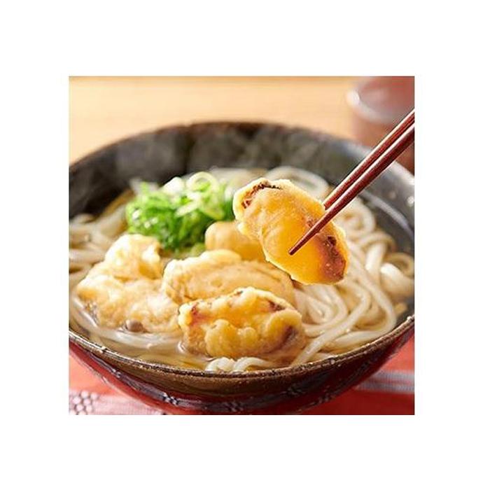 【ふるさと納税】博多ごぼう天うどん　10食セット【一部離島配送不可】 1