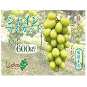 【ふるさと納税】【北海道・沖縄・離島配送不可】【2024年8月以降順次発送】福岡市産シャインマスカット | シャインマスカット マスカット ブドウ 種なし 種なしブドウ フルーツ 果物 くだもの…