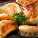 【ふるさと納税】 【博多のおみやげ 中華工房 点心点】博多一口餃子、黒豚焼餃子、点心包子、特製 餃子のタレ付き | 福岡県 福岡市 福岡 九州 返礼品 支援 楽...