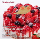 【ふるさと納税】【福岡市】あまおう苺ゴロゴロジェラートアイスケーキ 1個(5号 15cm径)ストロベリーフィールズ | アイス アイスケーキ 冷凍 スイーツ デ...