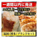 【ふるさと納税】計130個 福岡ブランド 博多黒豚一口生餃子と博多エビ入り一口生餃子セット創業40年以上福岡老舗会社製造 【1週間以内に発送!】 | 餃子 ぎょ...