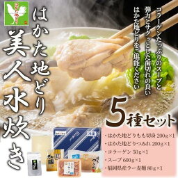 【ふるさと納税】はかた地どり美人水炊き　2～3人前 | セット 食品 加工食品 人気 おすすめ 送料無料