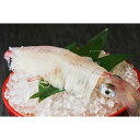 【ふるさと納税】(福岡市)ヤリイカ姿 刺身 1杯 約180g | イカ 魚介類 水産 食品 人気 おすすめ 送料無料