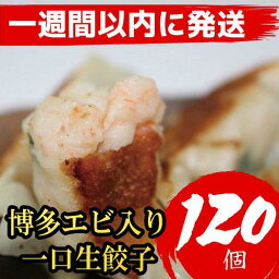 【ふるさと納税】【120個】 博多エビ入り一口生餃子（15個×8パック）【1週間以内に発送！】作り方説明付き | 餃子 ぎょうざ えび 加工品 惣菜 人気 おすすめ 中華 福岡市