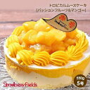 【ふるさと納税】【福岡市】トロピカルムースケーキ(パッションフルーツ&マンゴー) 5号 15cm径 ストロベリーフィールズ | 菓子 おかし 食品 人気 おすす...
